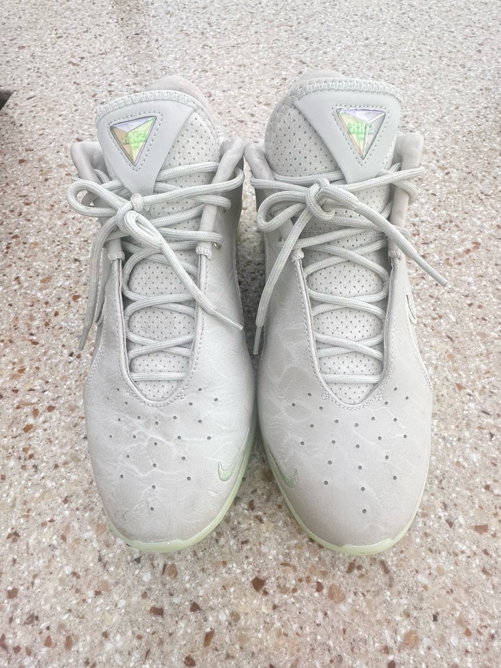 Nike LeBron 22 Dunkman Sz 9.5